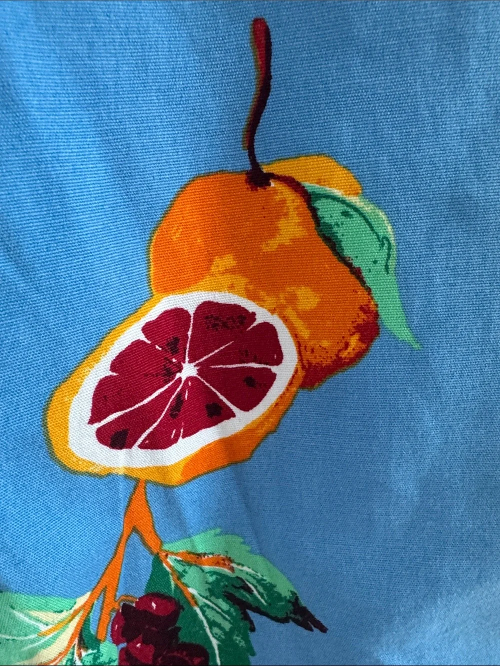Fruit Print Skinny Pants NWT